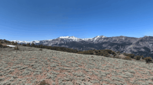 Carson-Iceberg Wilderness Alpine County, CA