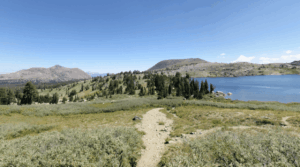 Mokelumne Wilderness Alpine County, CA