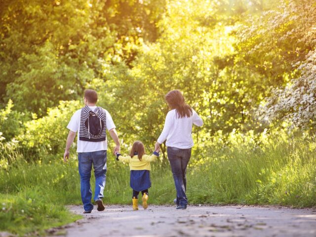 Collaborative Divorce Vs Mediation Guide