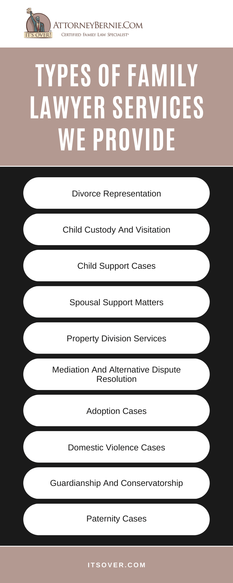 Types Of Family Lawyer Services We Provide Infographic